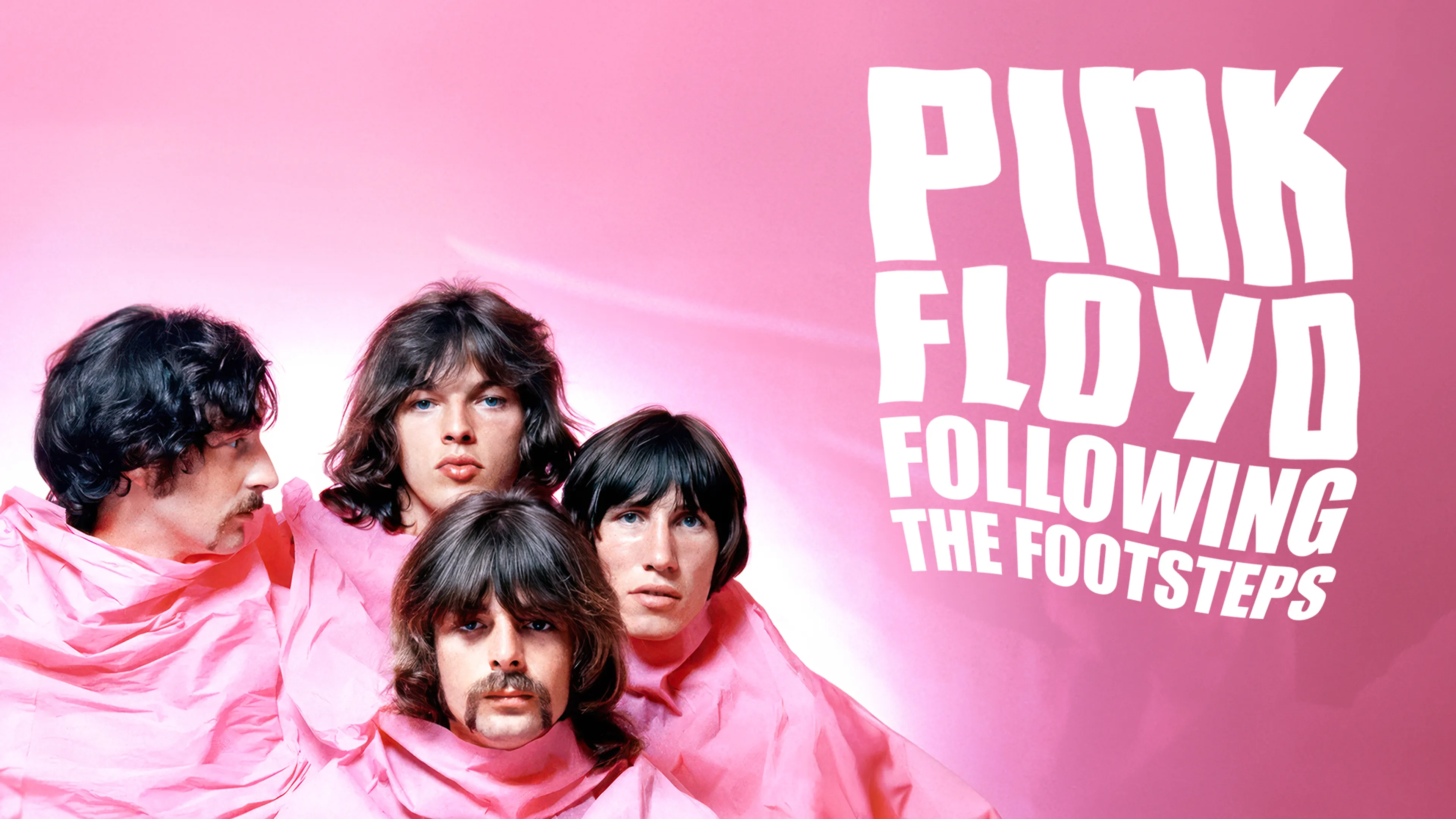 Pink Floyd: Following the Footsteps poster